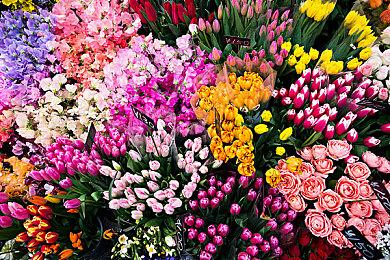 日式RPG《卡里古拉2》即将追加新游戏+模式